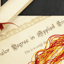 BSc (Bachelor of Science) Nedir?