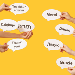 Öğrenmesi En Kolay Diller