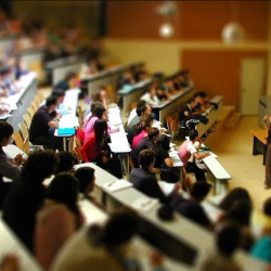 Diritto allo Studio Universitario (DSU) Bursu Nedir?