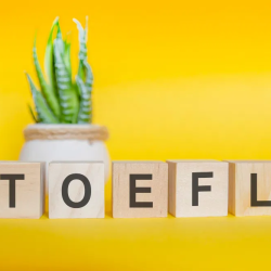 TOEFL Nedir, Ne İçin Gereklidir?