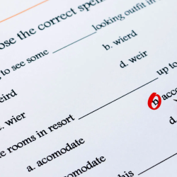 TOEIC (Test of English for International Communication) Sınavı Nedir?