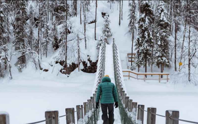 Finlandiya Üniversiteleri