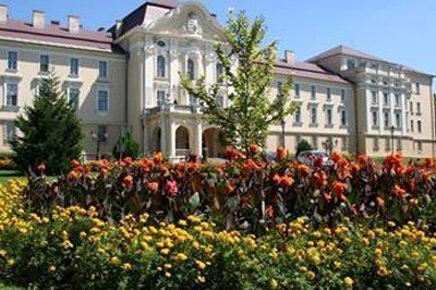 Szent Istvan University